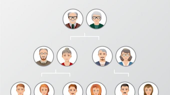 Genogram Dlaczego Warto Rysować Drzewo Geneologiczne