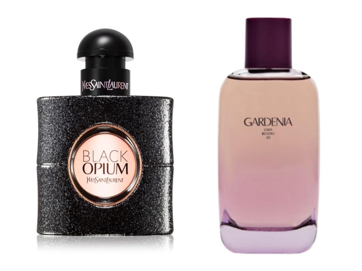 	Dobre odpowiedniki drogich perfum: woda perfumowana Black Opium Yves Saint Laurent i woda perfumowana Gardenia Zara