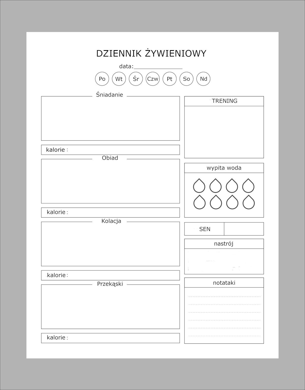 Dziennik diety PDF