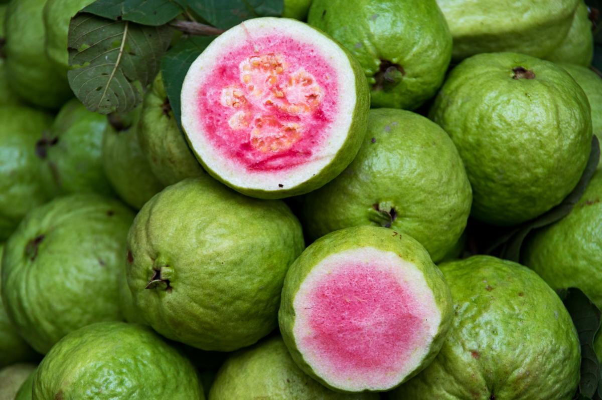 guawa - owoc bogaty w witaminę c