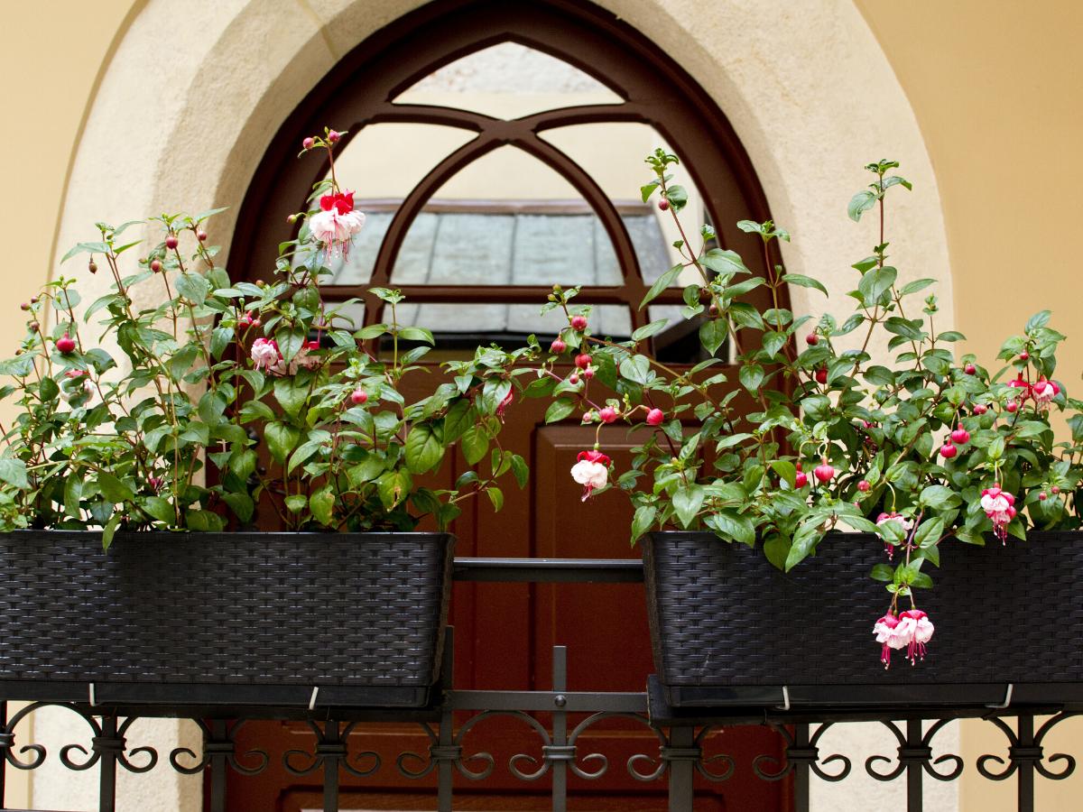 Niezwykly Balkon Plants Floral Wreath Wreaths