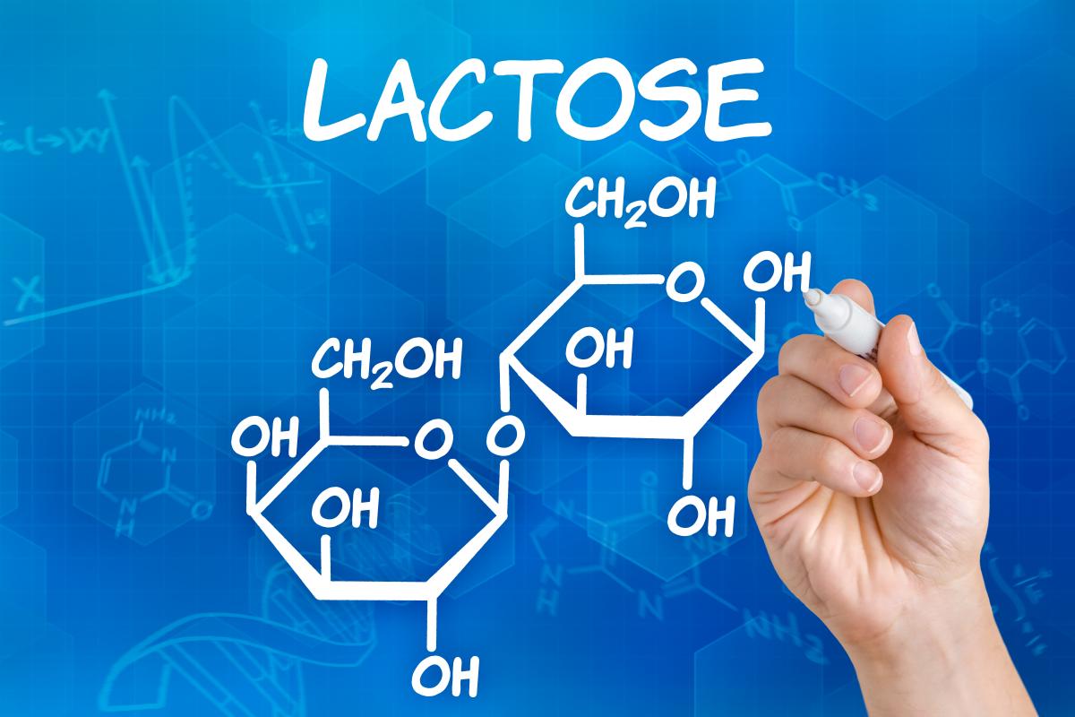 laktoza w mleku - chemia