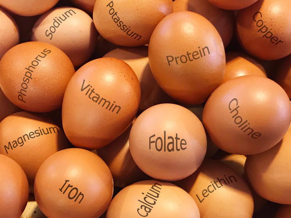 minerały i witaminy w jajkach