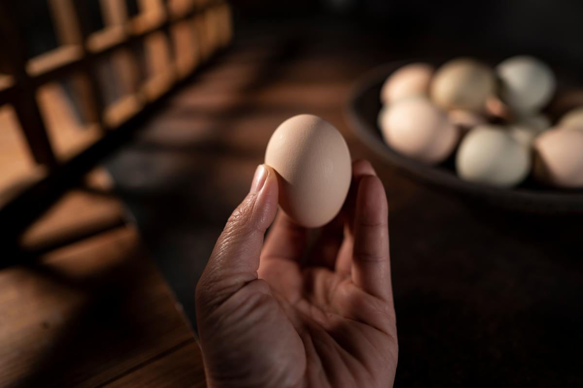 mity o jajach dwużółtkowych