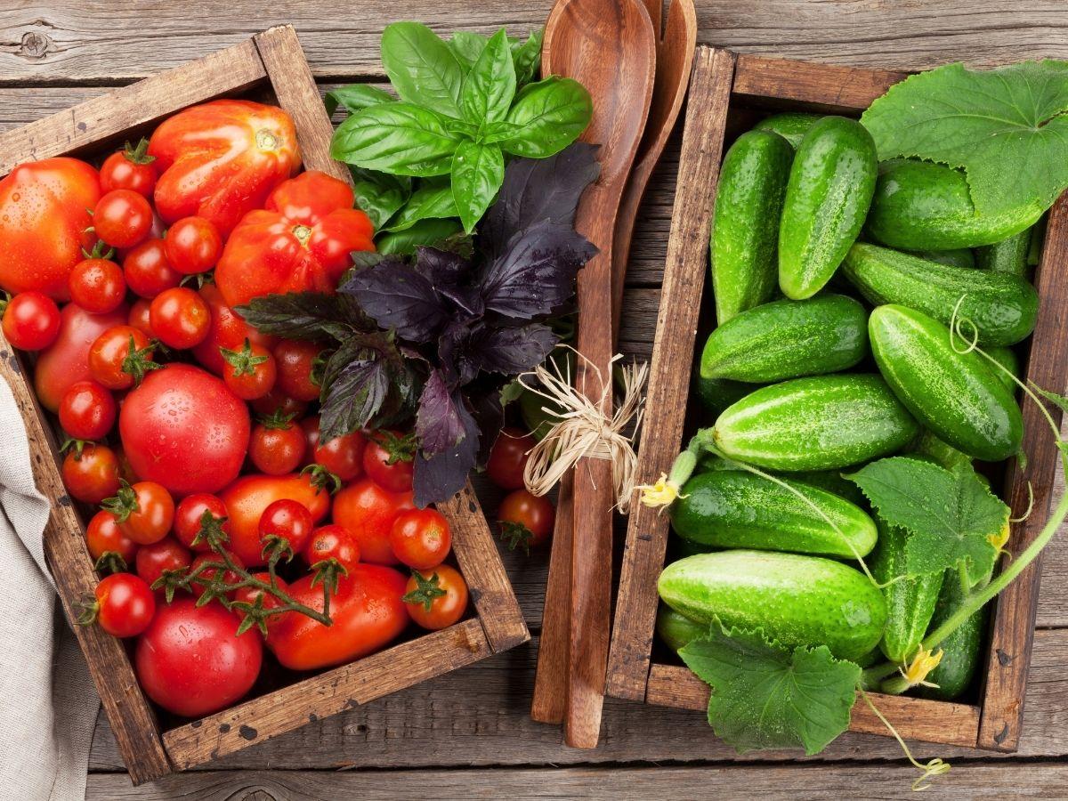 mity o łączeniu produktów ogórek z pomidorem