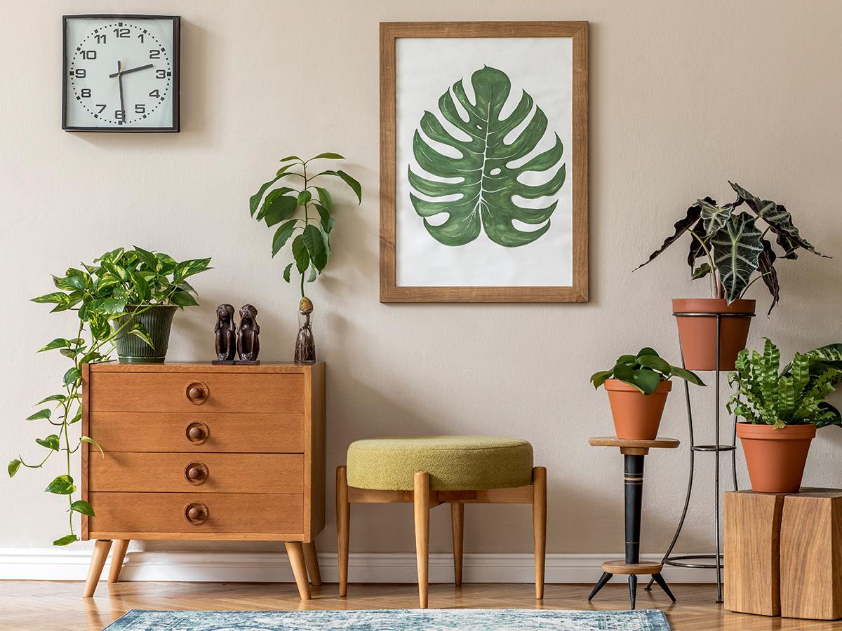 rośliny na ścianie w salonie