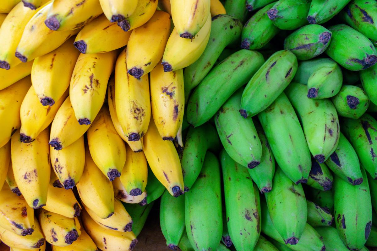 róznica w kaloryczności bananów zielonych i dojrzałych