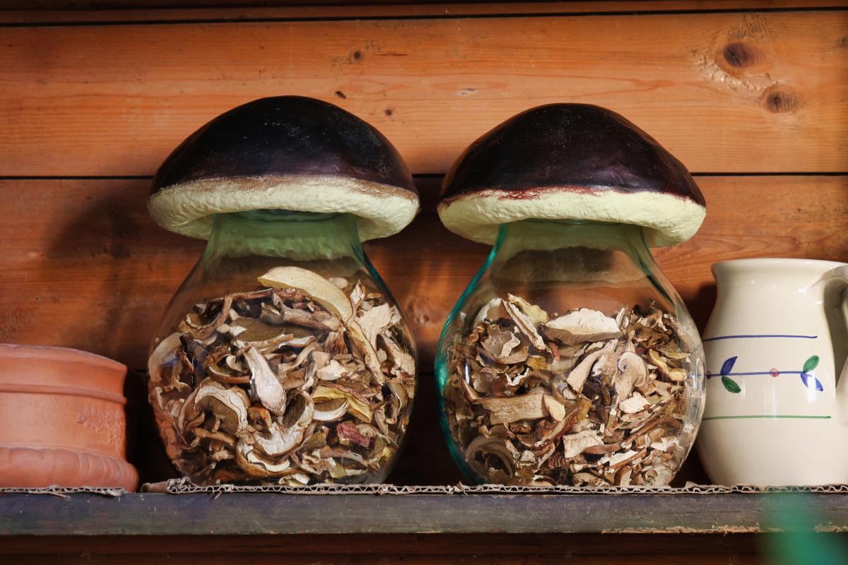 przechowywanie grzybów suszonych w słoikach