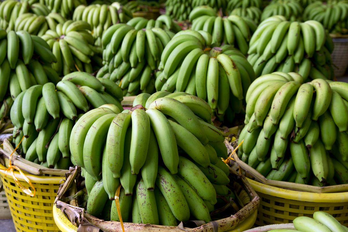 zielone banany na cholesterol