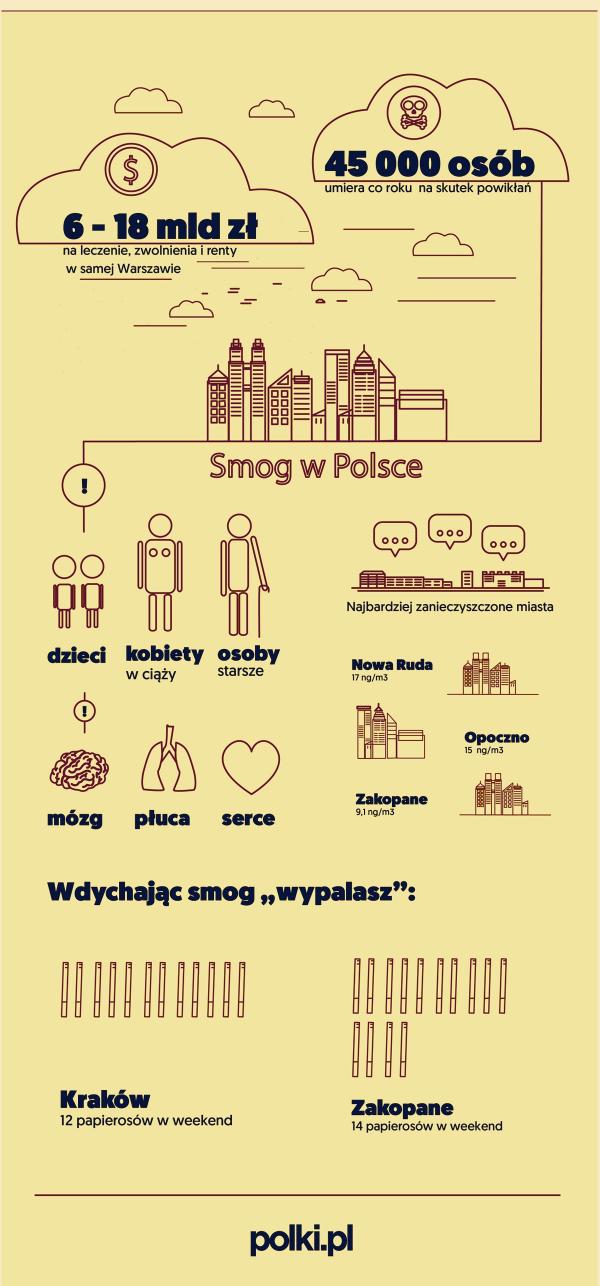 Smog w Polsce - infografika