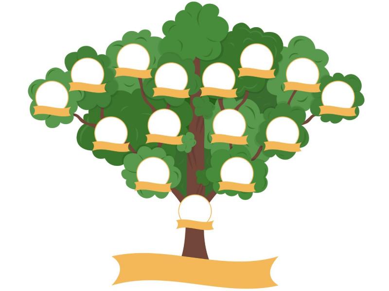 drzewa genealogicznego