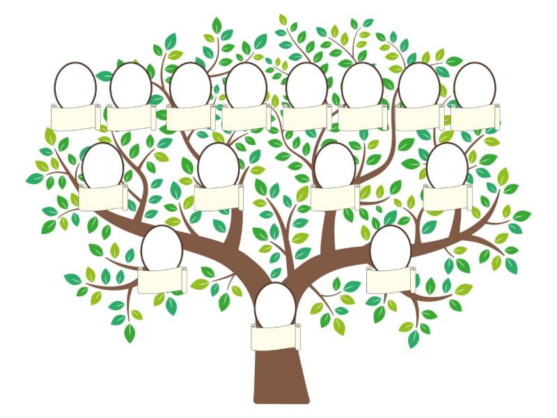 drzewo genealogiczne szablon