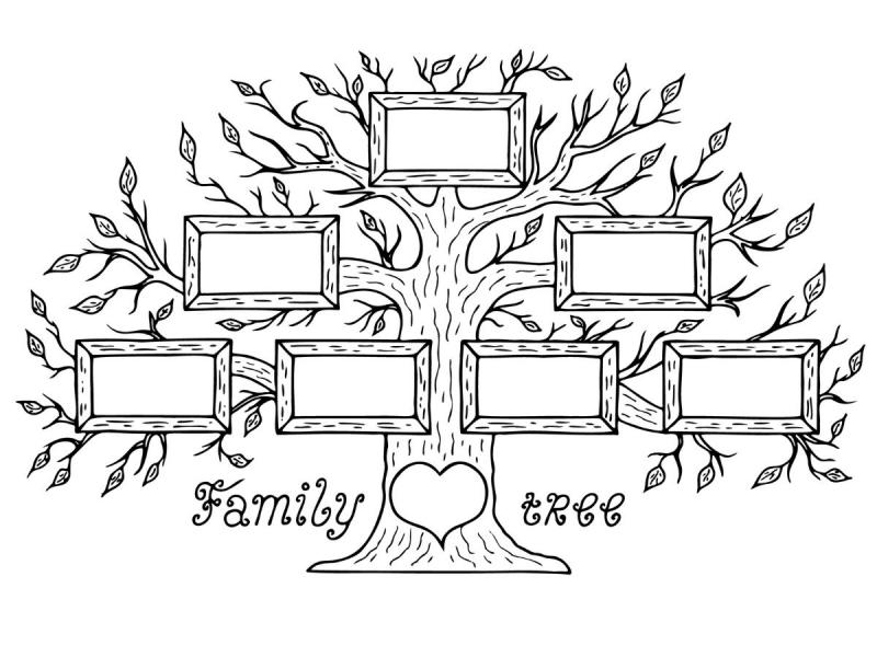 jak zacząć robić drzewo genealogiczne