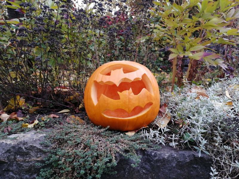 jak zrobić dynie na halloween