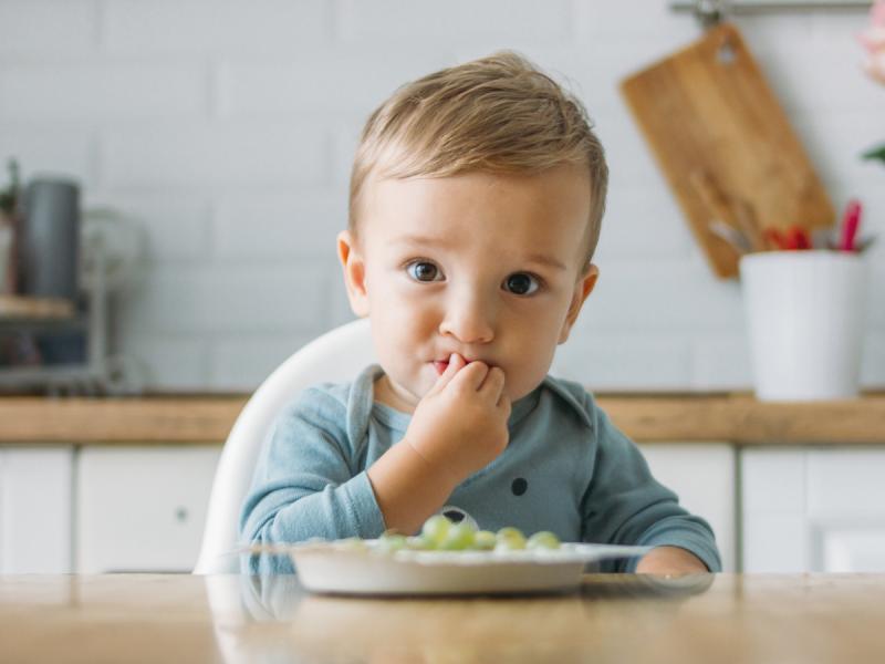 Przepisy dla rocznego dziecka pomysły na zdrowe i proste dania