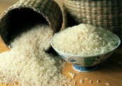 Ryż o wielu obliczach