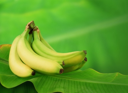 Rola bananów w prawidłowym odżywianiu