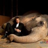 foto 1 - Woda dla słoni (reż. Francis Lawrence)