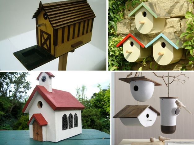 Designerskie domki dla ptaków