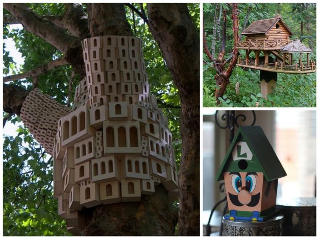Designerskie domki dla ptaków